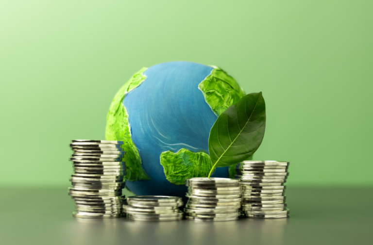 Le rôle des investisseurs privés dans la transition énergétique : tendances 2025–2030
