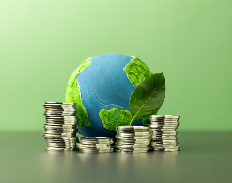 Le rôle des investisseurs privés dans la transition énergétique : tendances 2025–2030